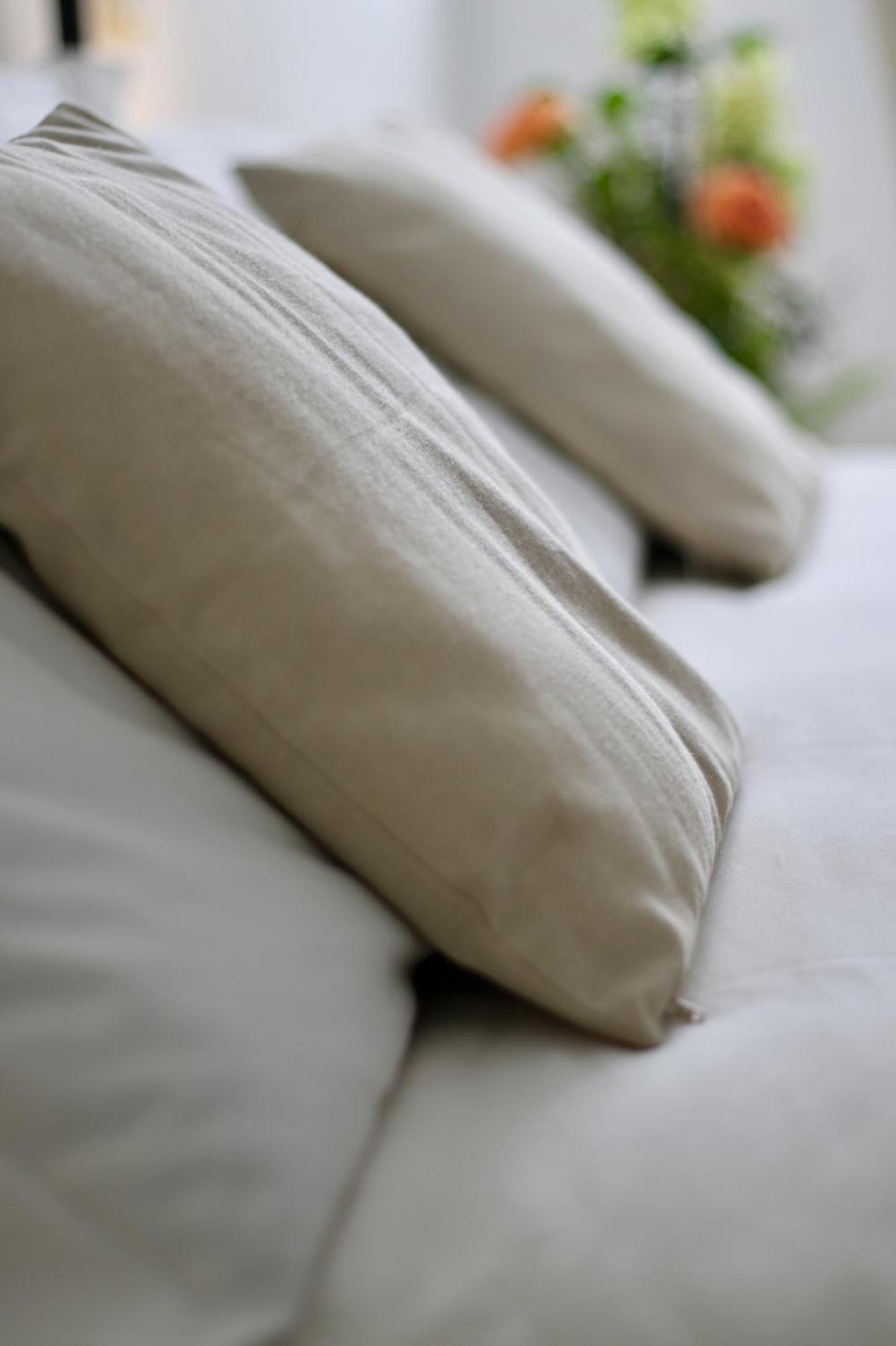 Casa Pellis Bed & Breakfast Fagagna Dış mekan fotoğraf